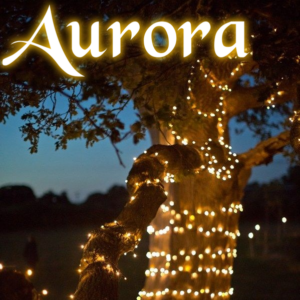 Aurora PRO solcelle lyskæde (200 LED, varm hvid)
