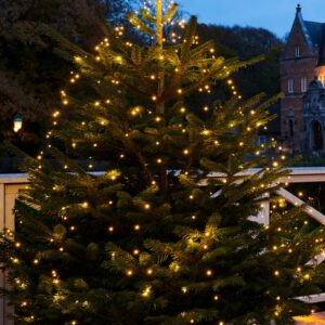 Sirius - Knirke Juletræ Top, Varm Hvid, 312 LED
