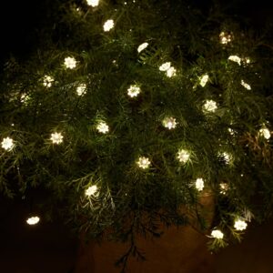 Sirius - Silke miniblomst 40 lys med timer, Klar/Grøn