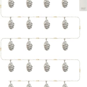 Molly Kogler sne 20L