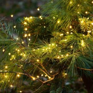 Sirius - Knirke 160 lys, Klar/Grøn