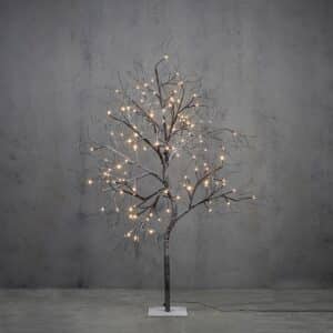 Lystræ 150 cm højt