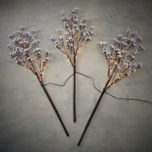 Tre vintergrene med lys